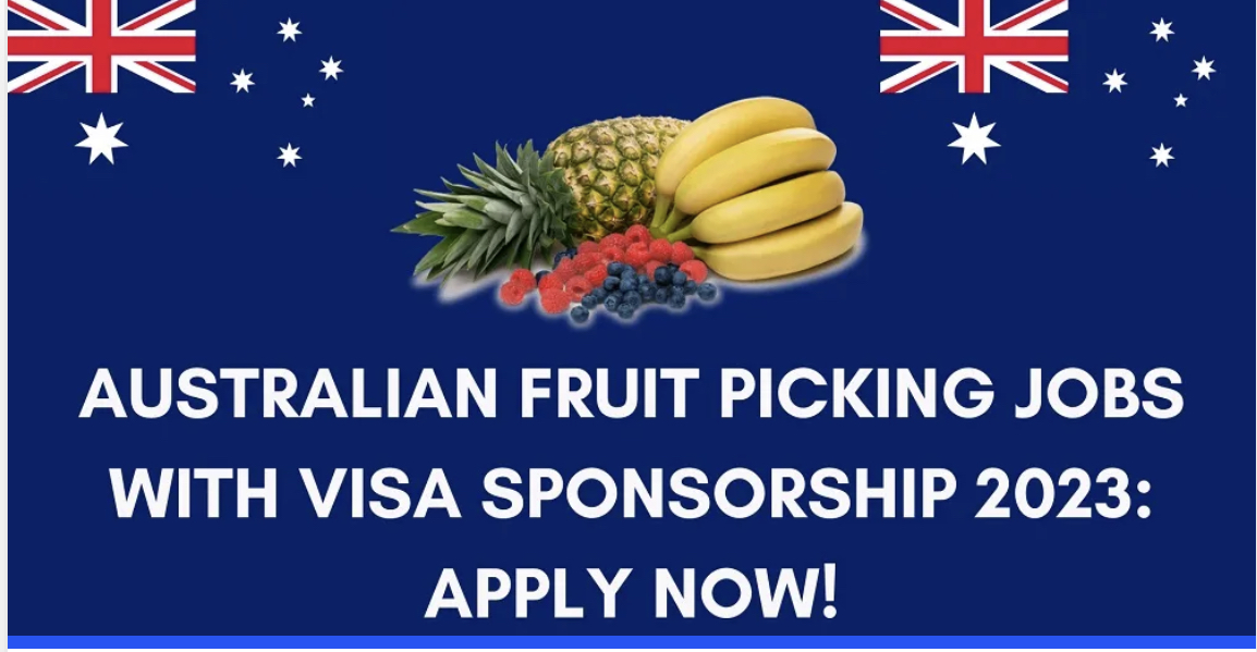 Latest Jobs In Australia With Visa Sponsorship 2023